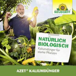 4005240023532 Sprechende Bilder Bild 6