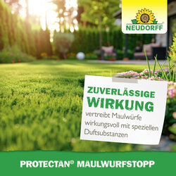 4005240030691 Sprechende Bilder Bild 6