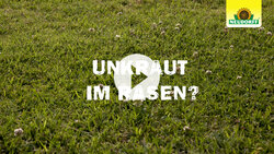 Rasendünger - Verdrängt Unkraut