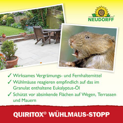 4005240023525 Sprechende Bilder Bild 4