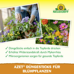 4005240030639 Sprechende Bilder Bild 4