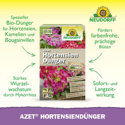 4005240019634 Sprechende Bilder Bild 2
