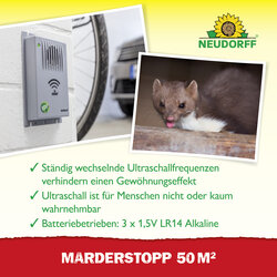 4005240030400 Sprechende Bilder Bild 4