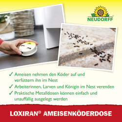 4005240030417 Sprechende Bilder Bild 4