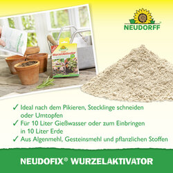 4005240002636 Sprechende Bilder Bild 4