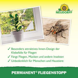 4005240025475 Sprechende Bilder Bild 4