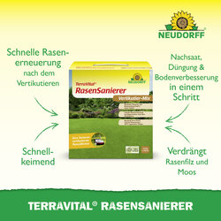 4005240033241 Sprechende Bilder Bild 2
