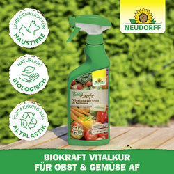 4005240019863 Sprechende Bilder Bild 5