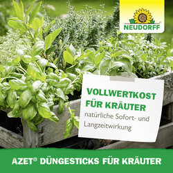 4005240030608 Sprechende Bilder Bild 6