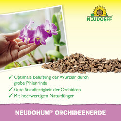 4005240009680 Sprechende Bilder Bild 4