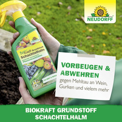 4005240019955 Sprechende Bilder Bild 7