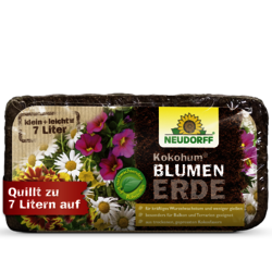 4005240002704 Sprechende Bilder Bild 1