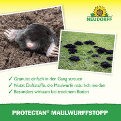 4005240030691 Sprechende Bilder Bild 4