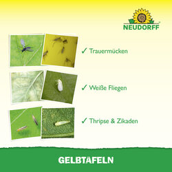 4005240003220 Sprechende Bilder Bild 4