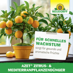 4005240012147 Sprechende Bilder Bild 7
