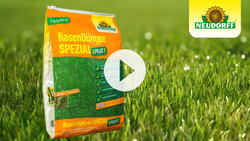 POS-Film RasenDünger Moos- & UnkrautStopp