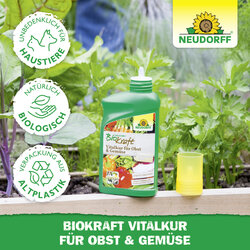 4005240019856 Sprechende Bilder Bild 5