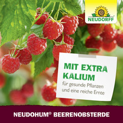 4005240009994 Sprechende Bilder Bild 7