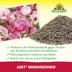 4005240001639 Sprechende Bilder Bild 4