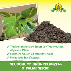 4005240050781 Sprechende Bilder Bild 4