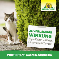 4005240095058 Sprechende Bilder Bild 6