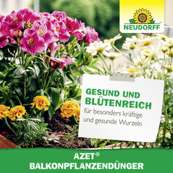 4005240012178 Sprechende Bilder Bild 6