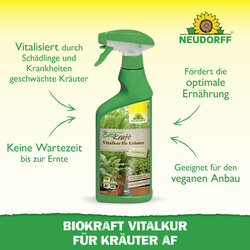4005240019887 Sprechende Bilder Bild 2