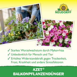 4005240012178 Sprechende Bilder Bild 4