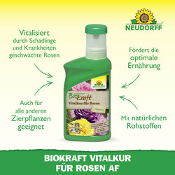 4005240019818 Sprechende Bilder Bild 2