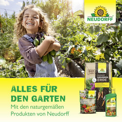 4005240025833 Sprechende Bilder Bild 8