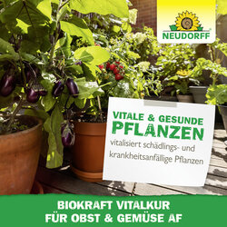 4005240019863 Sprechende Bilder Bild 6