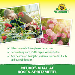 4005240033296 Sprechende Bilder Bild 4