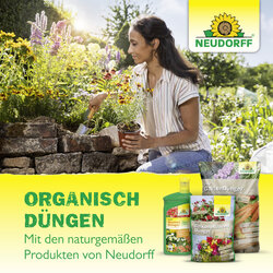 4005240012406 Sprechende Bilder Bild 8