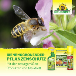 4005240019979 Sprechende Bilder Bild 7