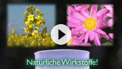 Spruzit Schädlingsfrei