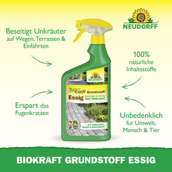 4005240019948 Sprechende Bilder Bild 2
