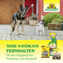4005240095058 Sprechende Bilder Bild 7