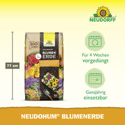 4005240009987 Sprechende Bilder