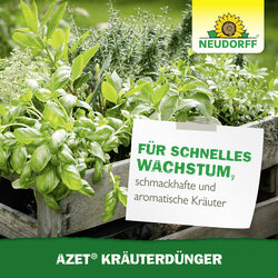 4005240025697 Sprechende Bilder Bild 7
