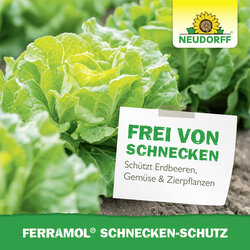 4005240009208 Sprechende Bilder Bild 6