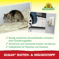4005240030387 Sprechende Bilder Bild 4
