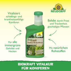 4005240019870 Sprechende Bilder Bild 2