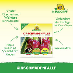 4005240003244 Sprechende Bilder Bild 2