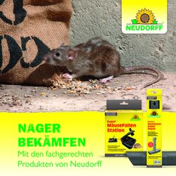 4005240030257 Sprechende Bilder Bild 7