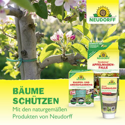4005240005453 Sprechende Bilder Bild 7