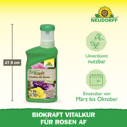 4005240019818 Sprechende Bilder Bild 3