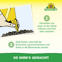 4005240003183 Sprechende Bilder Bild 6