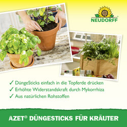 4005240030608 Sprechende Bilder Bild 4