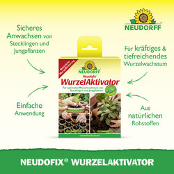 4005240002636 Sprechende Bilder Bild 2