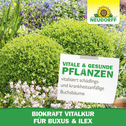 4005240019832 Sprechende Bilder Bild 6